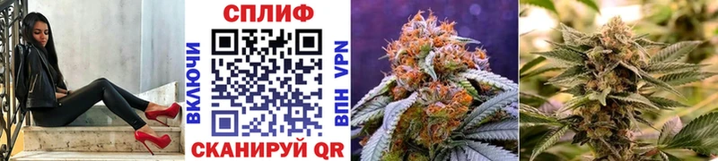 Бошки Шишки план  Купить  Цимлянск 